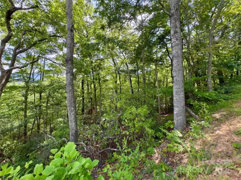 94 Galax Drive #T-44