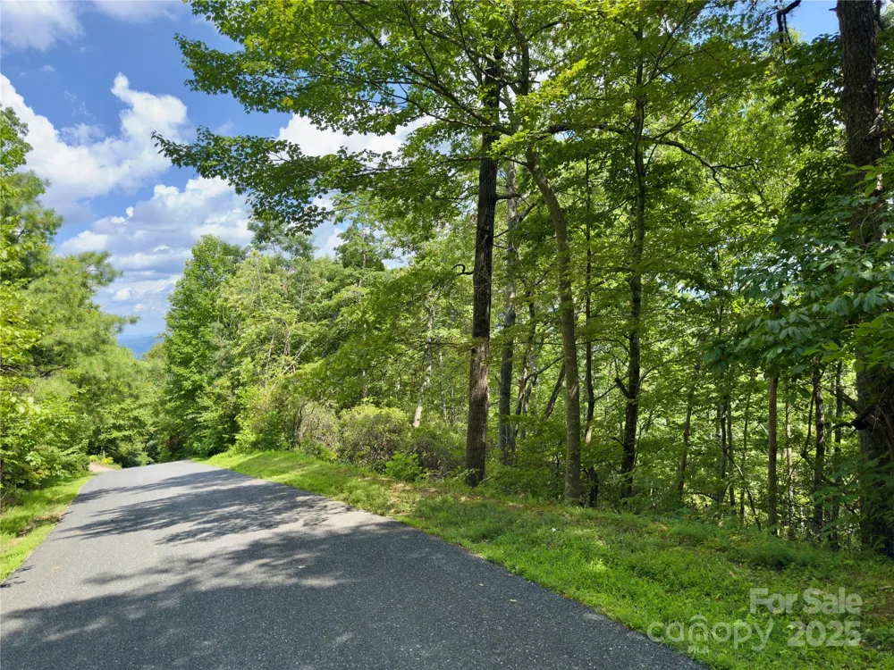 94 Galax Drive #T-44 Black Mountain, NC 28711