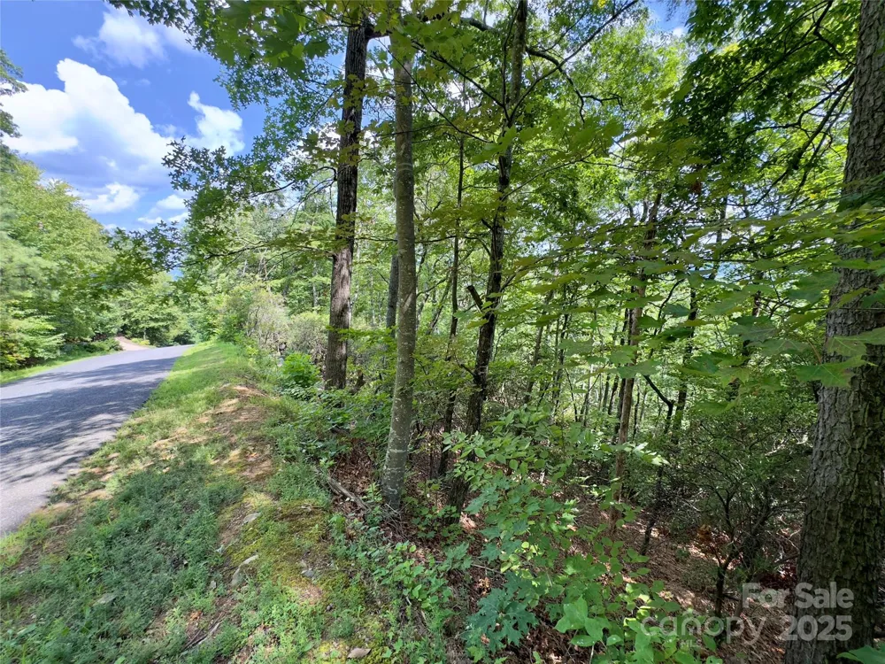 94 Galax Drive #T-44 Black Mountain, NC 28711