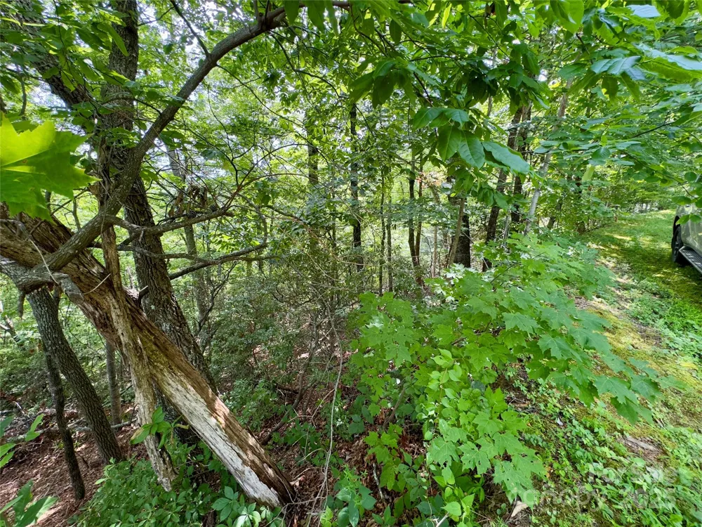 94 Galax Drive #T-44 Black Mountain, NC 28711