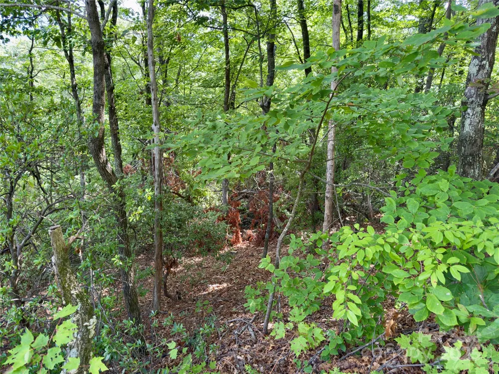 94 Galax Drive #T-44 Black Mountain, NC 28711