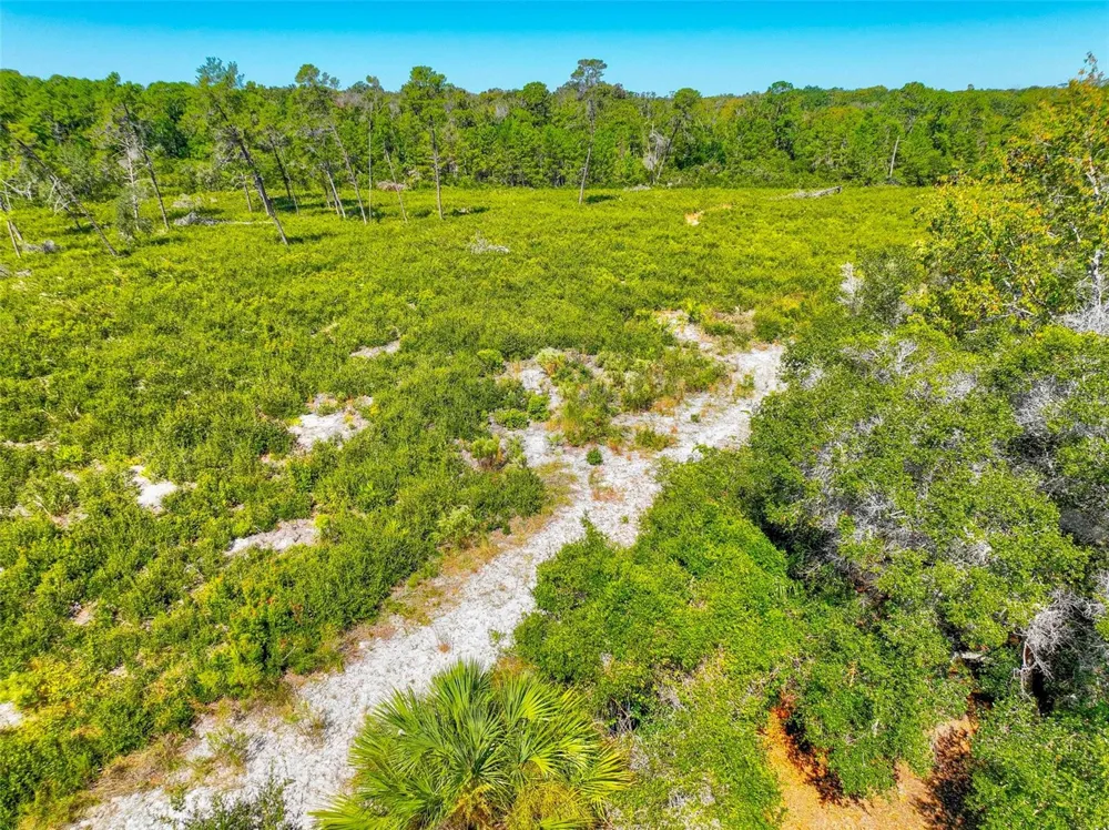 6502 RIVER RUN BOULEVARD Weeki Wachee, FL 34607
