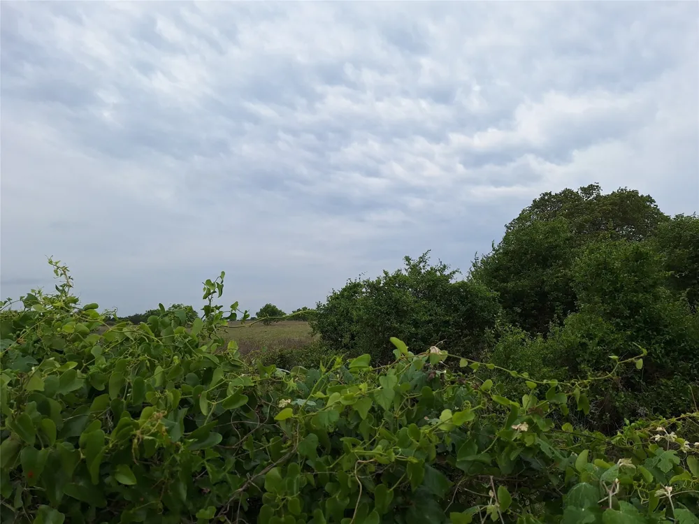 2735 FM 45 Richland Springs, TX 76871