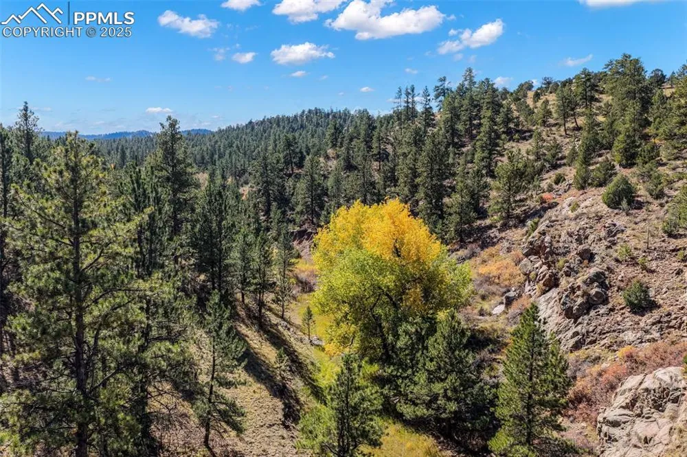 838 County Road 260 Westcliffe, CO 81252
