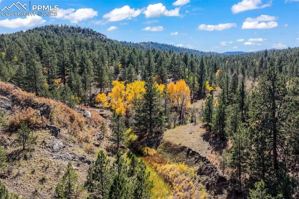 838 County Road 260 Westcliffe, CO 81252
