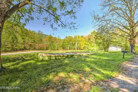 1446 Cove Lane