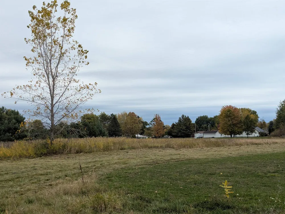 Court Street Au Gres Township, MI 48703