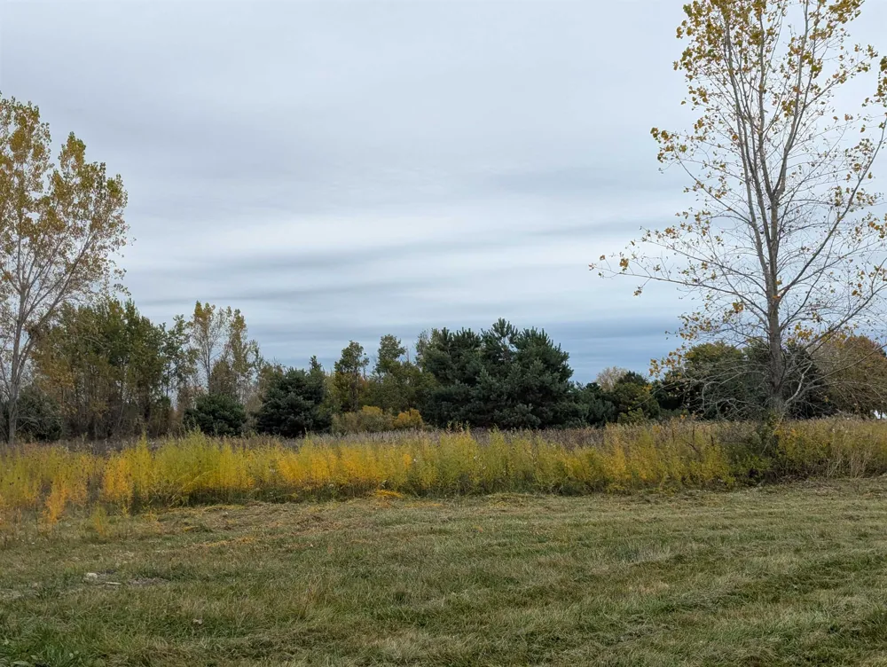 Court Street Au Gres Township, MI 48703
