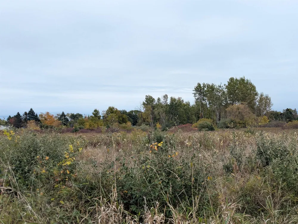 Court Street Au Gres Township, MI 48703