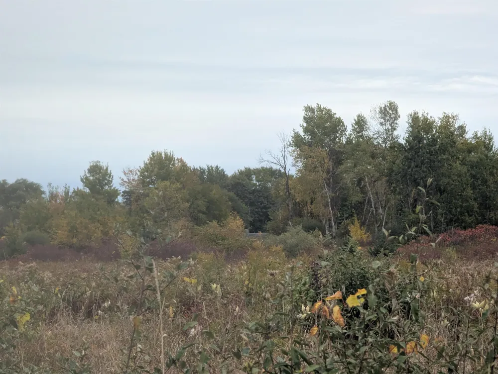 Court Street Au Gres Township, MI 48703