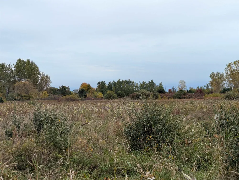 Court Street Au Gres Township, MI 48703