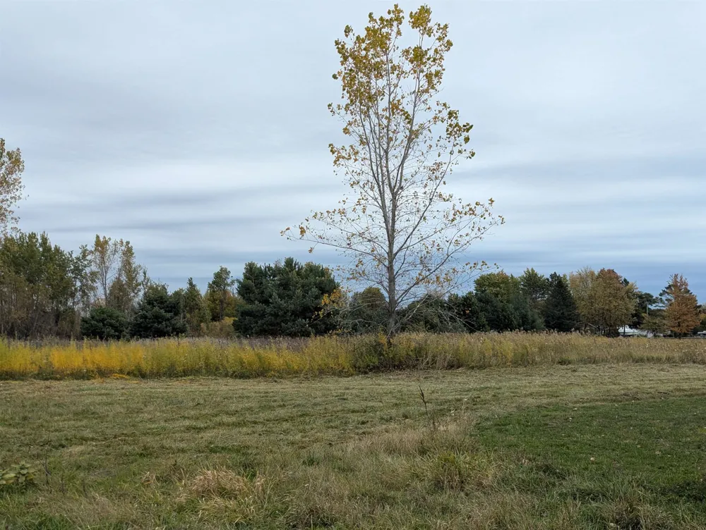 Court Street Au Gres Township, MI 48703