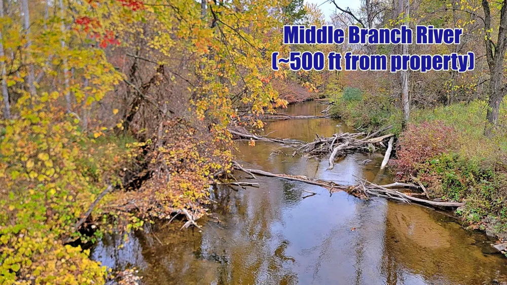 Twin Lake Road Middle Branch Township, MI 49665