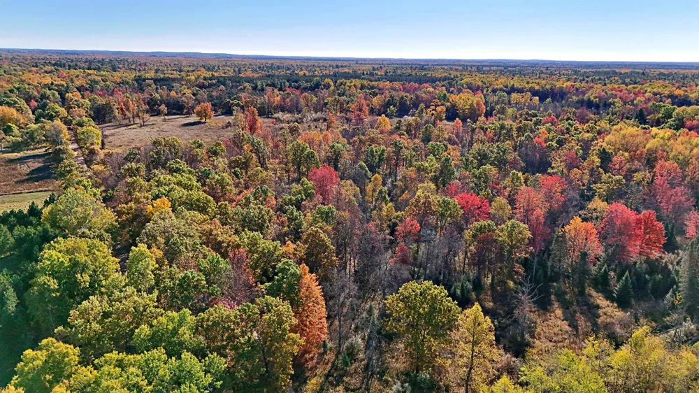 Twin Lake Road Middle Branch Township, MI 49665