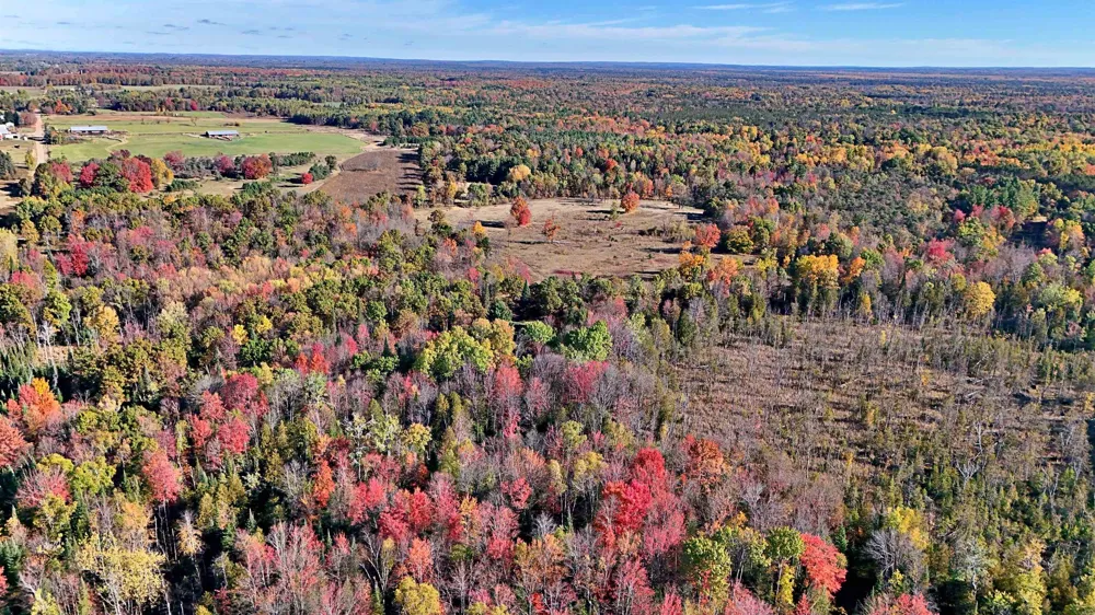Twin Lake Road Middle Branch Township, MI 49665