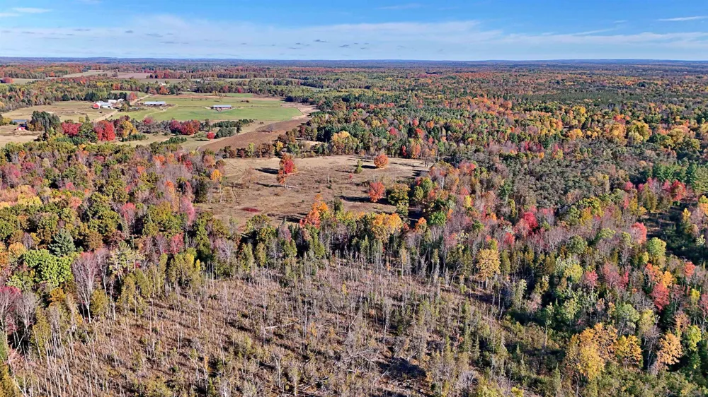 Twin Lake Road Middle Branch Township, MI 49665