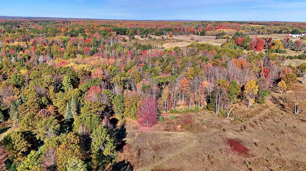 Twin Lake Road Middle Branch Township, MI 49665
