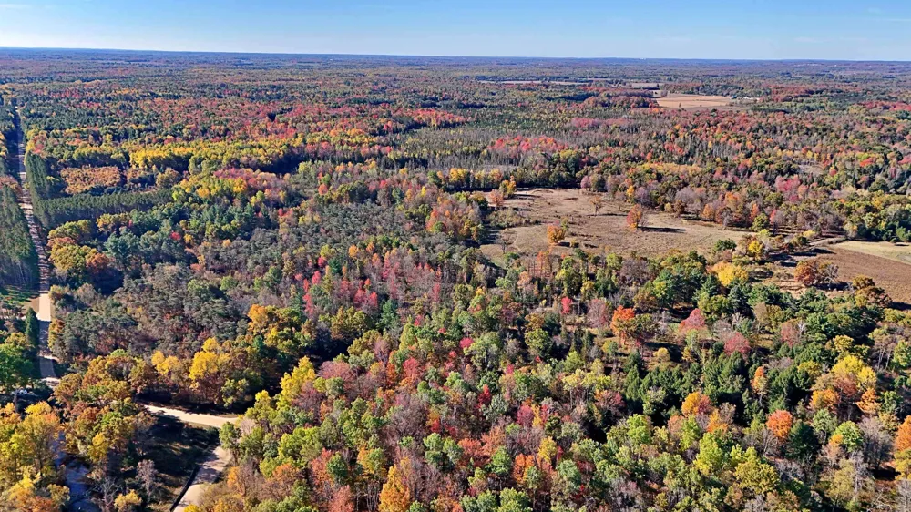 Twin Lake Road Middle Branch Township, MI 49665