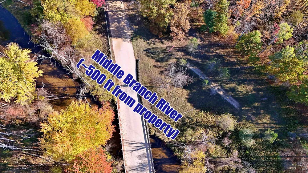Twin Lake Road Middle Branch Township, MI 49665