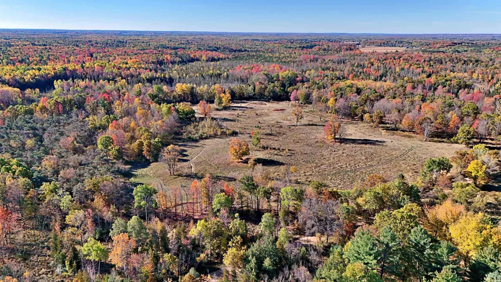 Twin Lake Road Middle Branch Township, MI 49665