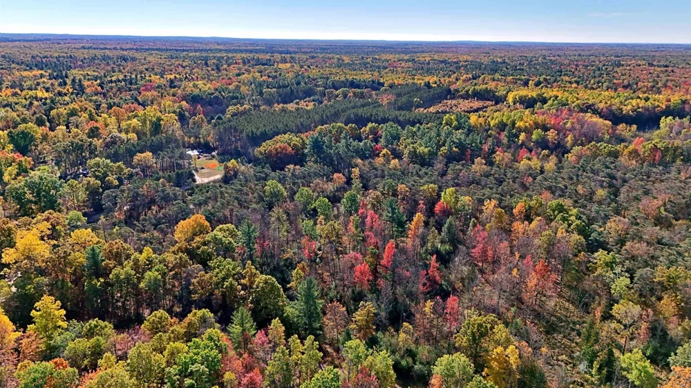 Twin Lake Road Middle Branch Township, MI 49665