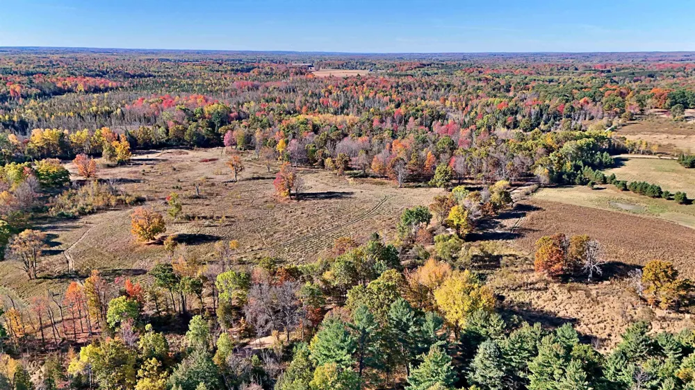 Twin Lake Road Middle Branch Township, MI 49665