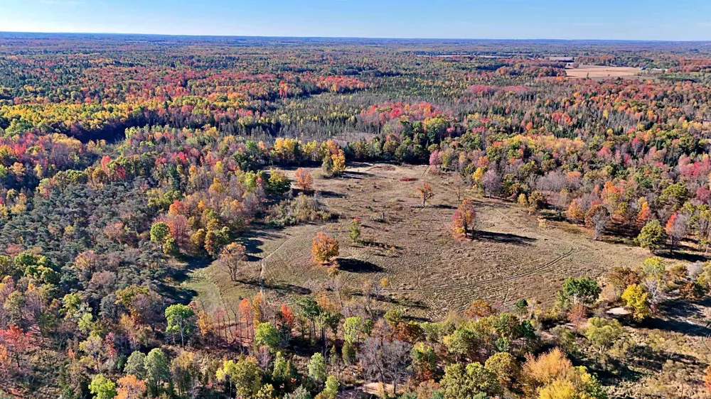 Twin Lake Road Middle Branch Township, MI 49665