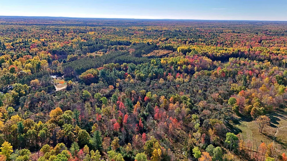 Twin Lake Road Middle Branch Township, MI 49665