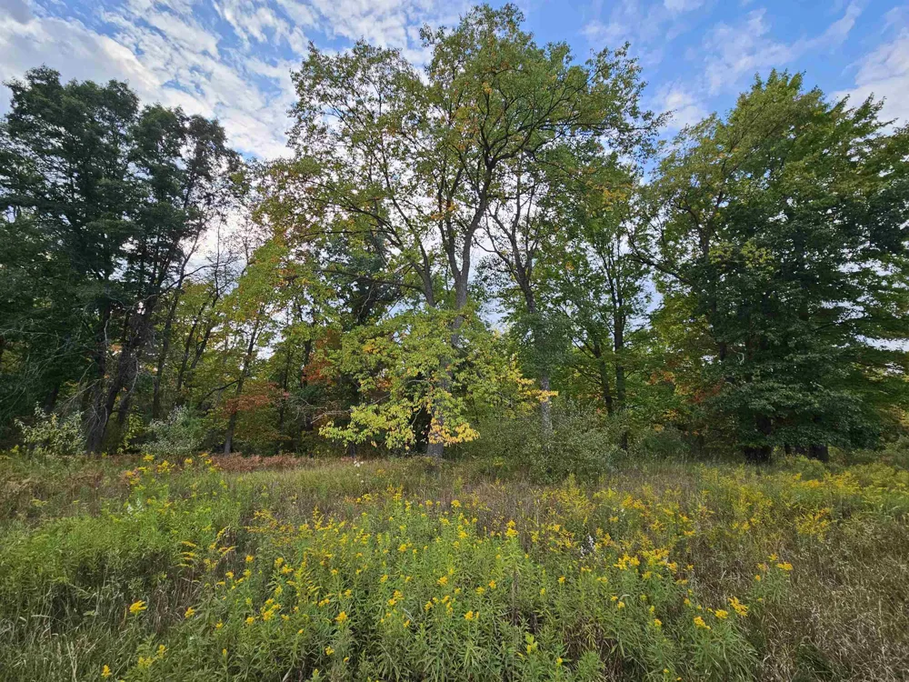 Twin Lake Road Middle Branch Township, MI 49665