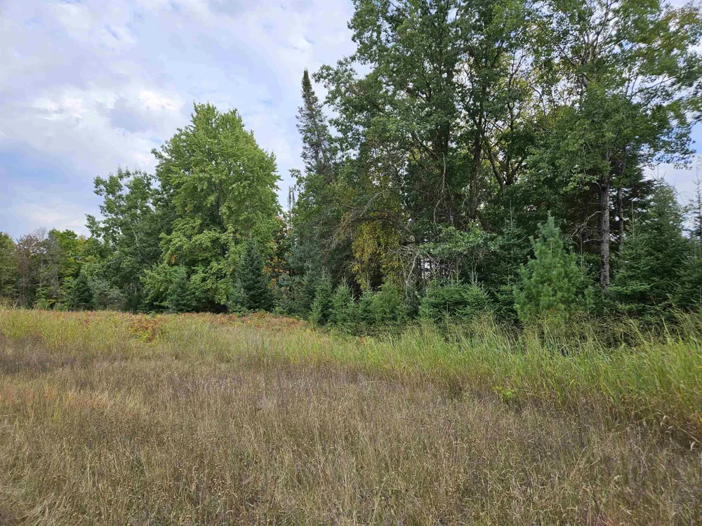 Twin Lake Road Middle Branch Township, MI 49665