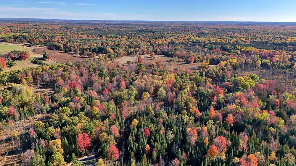 Twin Lake Road Middle Branch Township, MI 49665