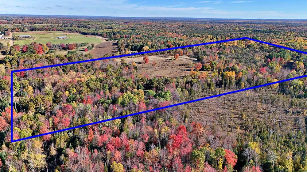 Twin Lake Road Middle Branch Township, MI 49665
