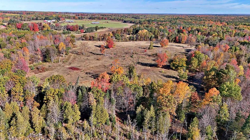 Twin Lake Road Middle Branch Township, MI 49665