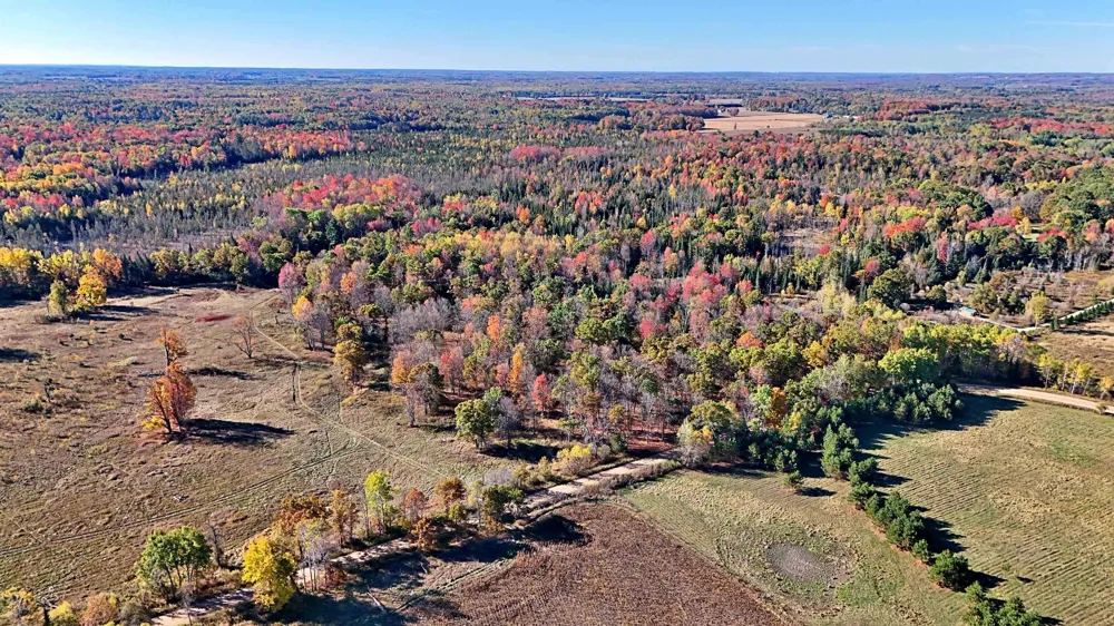 Twin Lake Road Middle Branch Township, MI 49665