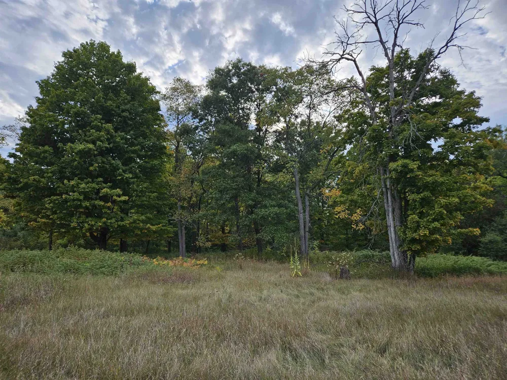 Twin Lake Road Middle Branch Township, MI 49665