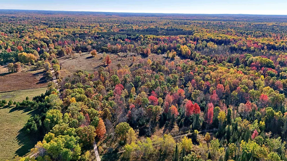 Twin Lake Road Middle Branch Township, MI 49665