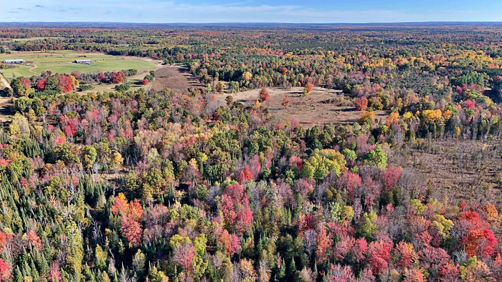 Twin Lake Road Middle Branch Township, MI 49665