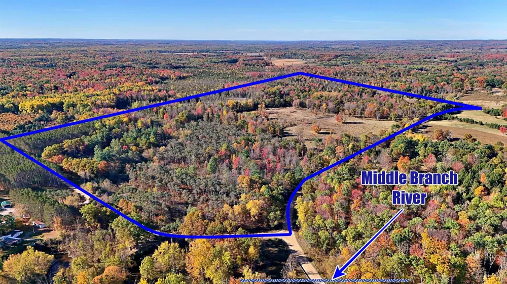 Twin Lake Road Middle Branch Township, MI 49665