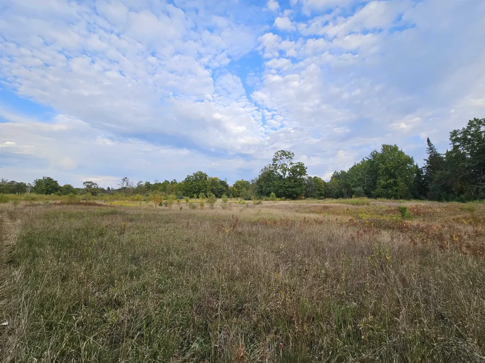 Twin Lake Road Middle Branch Township, MI 49665