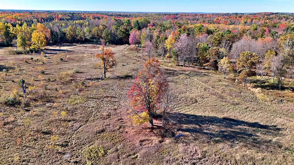 Twin Lake Road Middle Branch Township, MI 49665