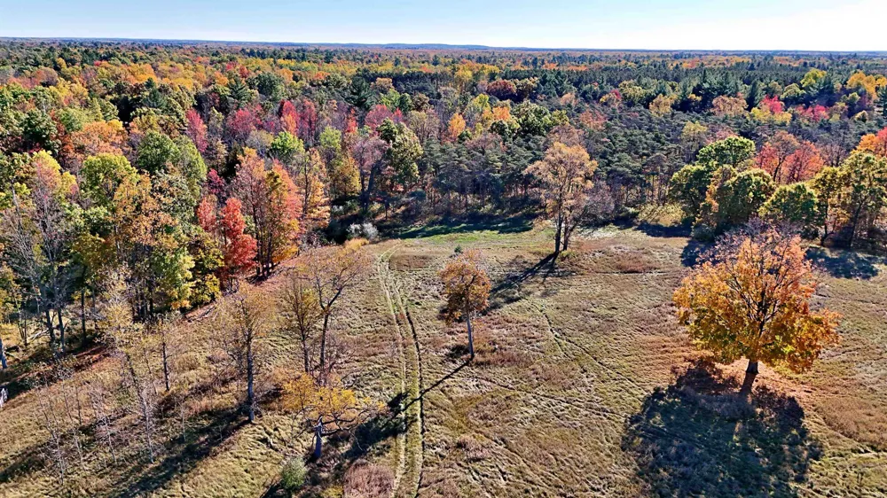 Twin Lake Road Middle Branch Township, MI 49665