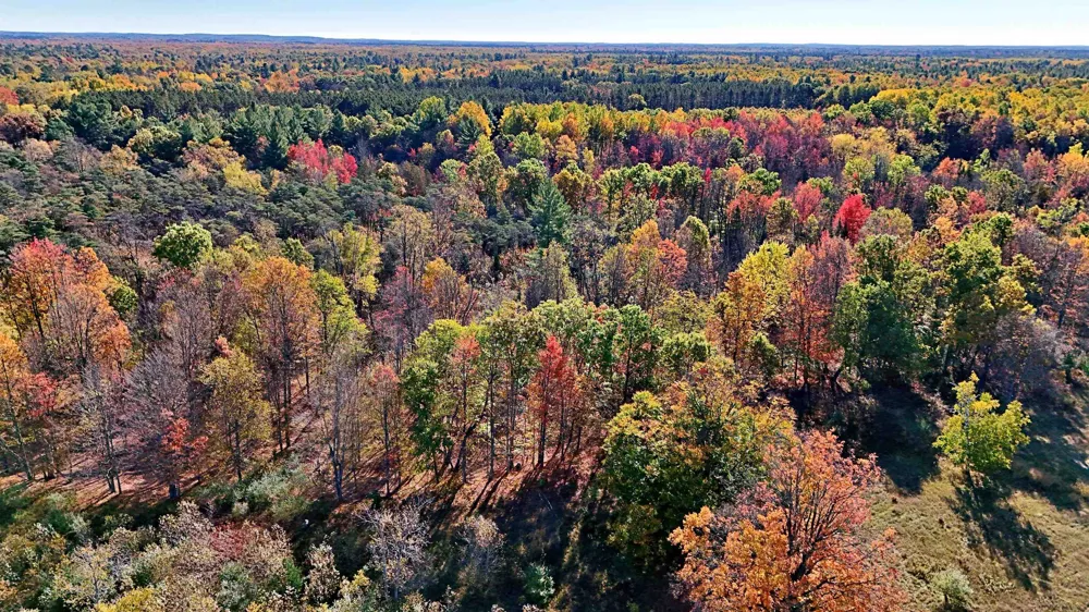 Twin Lake Road Middle Branch Township, MI 49665