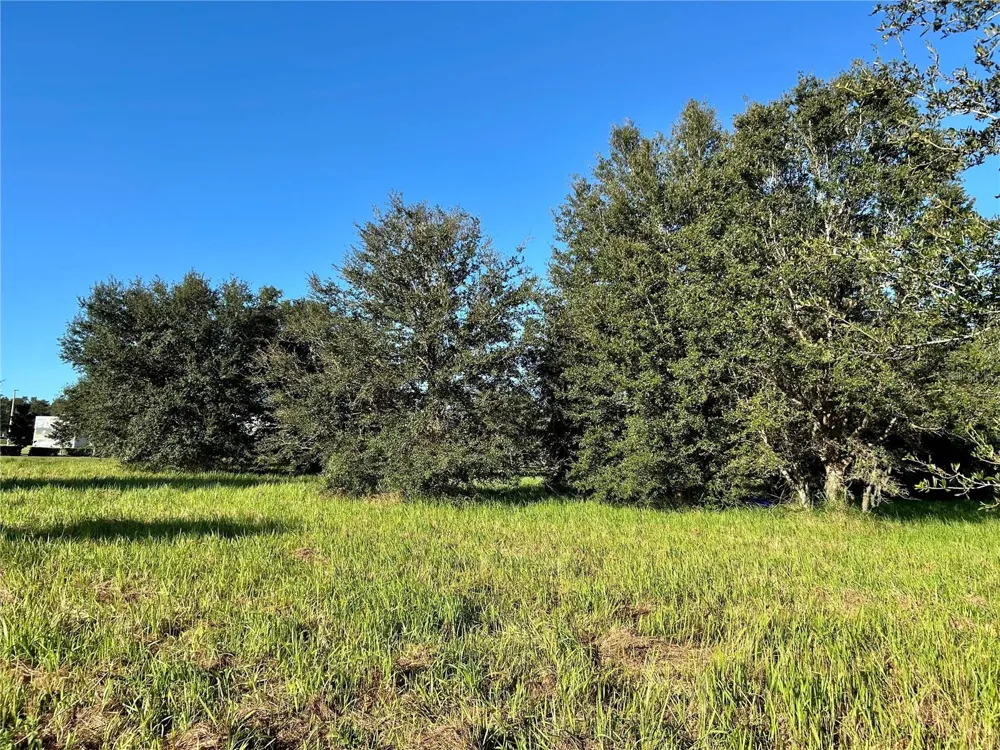 S 1ST AVENUE Wauchula, FL 33873