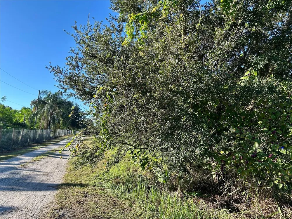 S 1ST AVENUE Wauchula, FL 33873