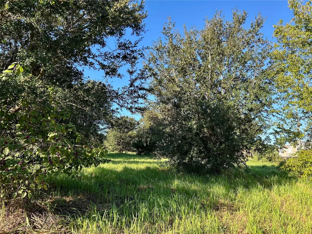 S 1ST AVENUE Wauchula, FL 33873