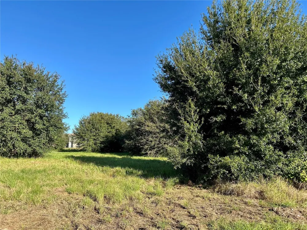 S 1ST AVENUE Wauchula, FL 33873