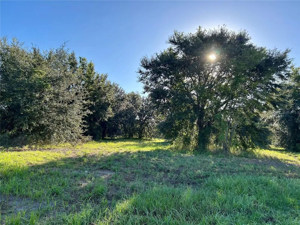 S 1ST AVENUE Wauchula, FL 33873