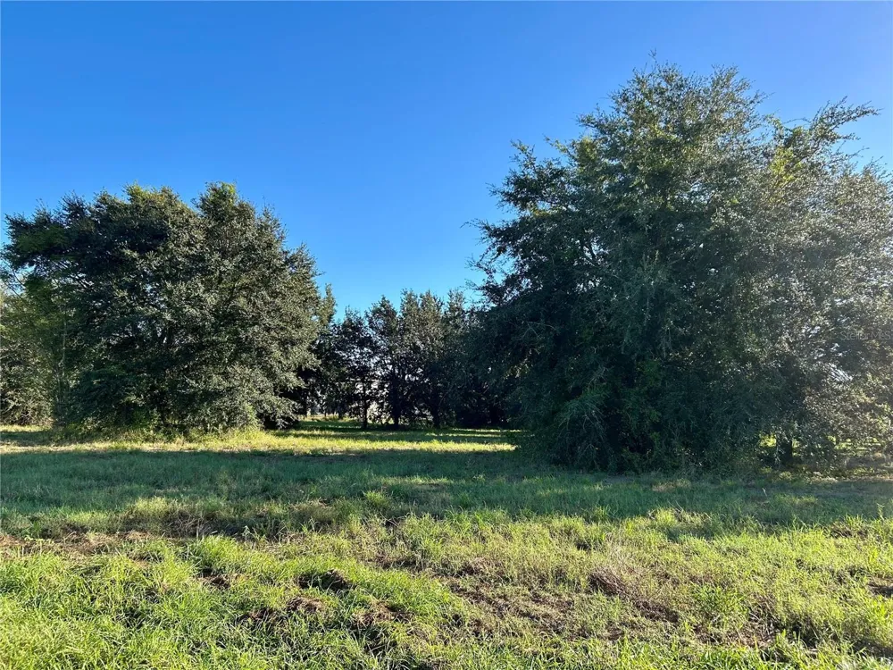 S 1ST AVENUE Wauchula, FL 33873