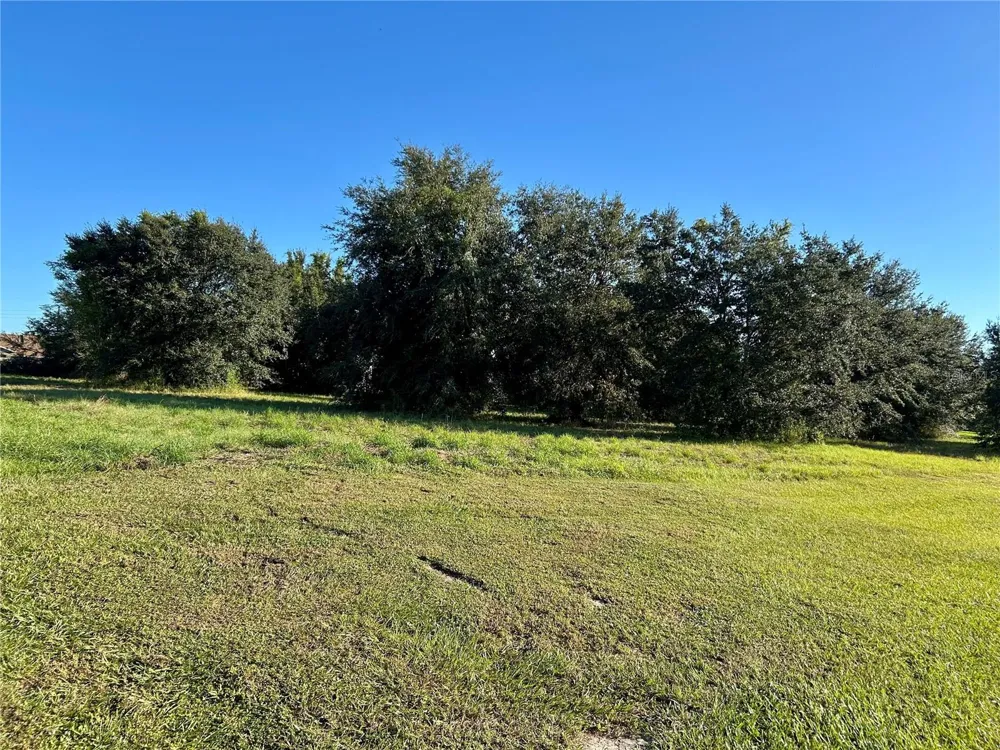 S 1ST AVENUE Wauchula, FL 33873