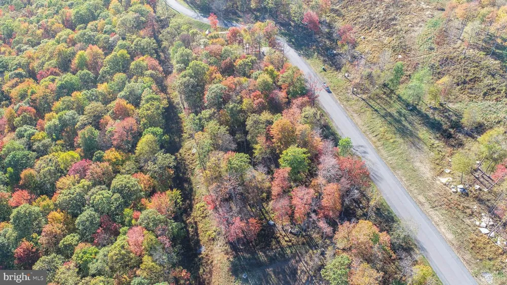157 FORK RUN TRAIL Mc Henry, MD 21541
